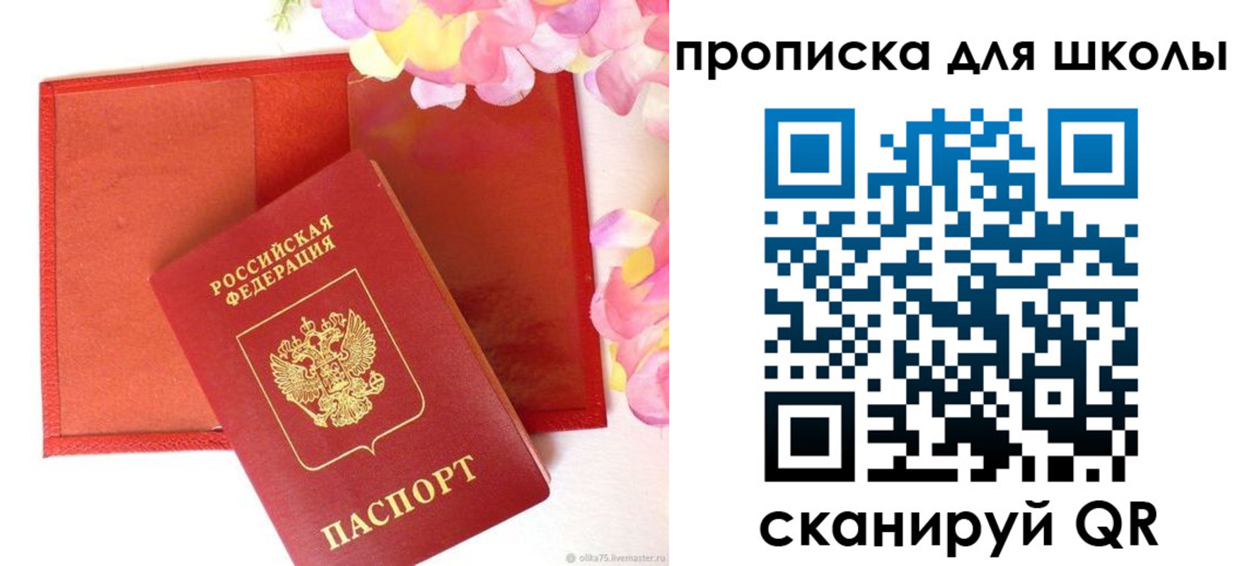 временная регистрация для всех в Курской области