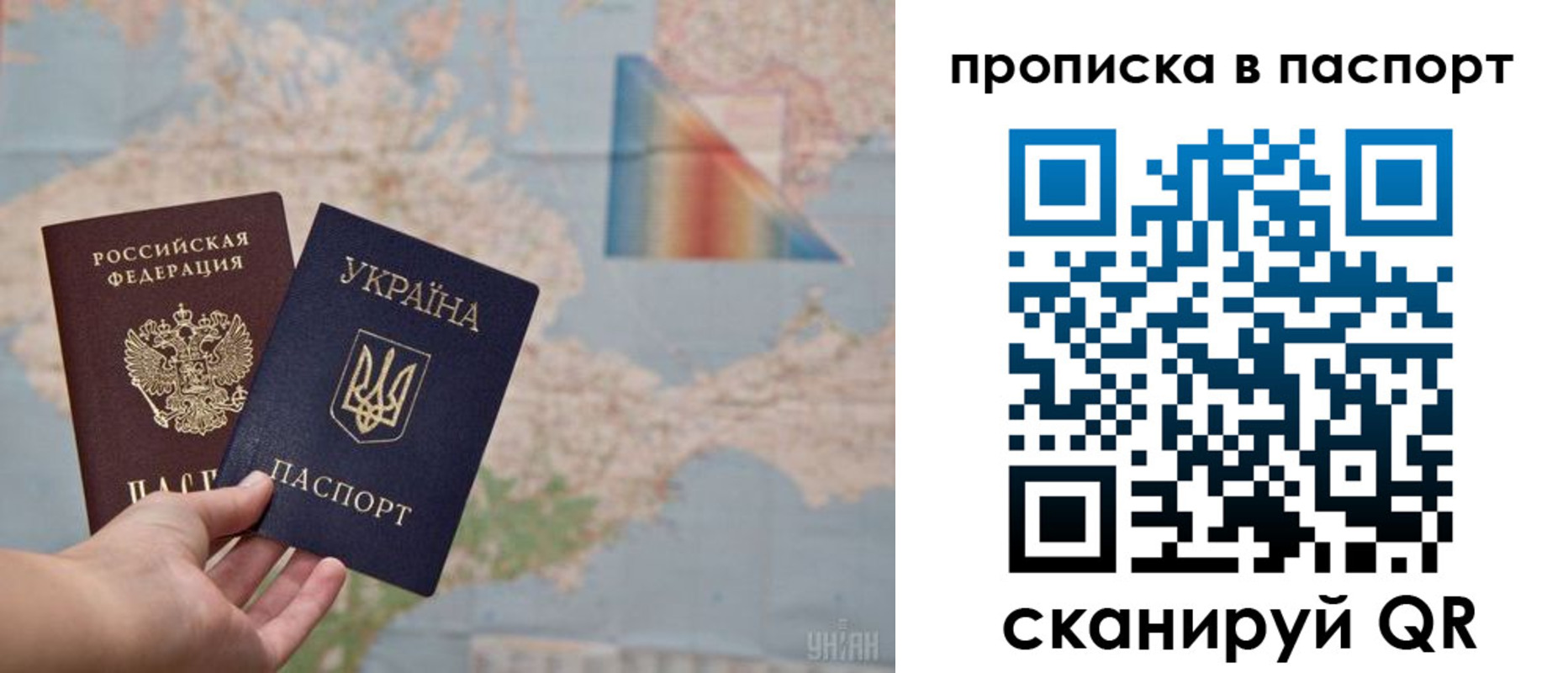 прописка поиск в Курской области